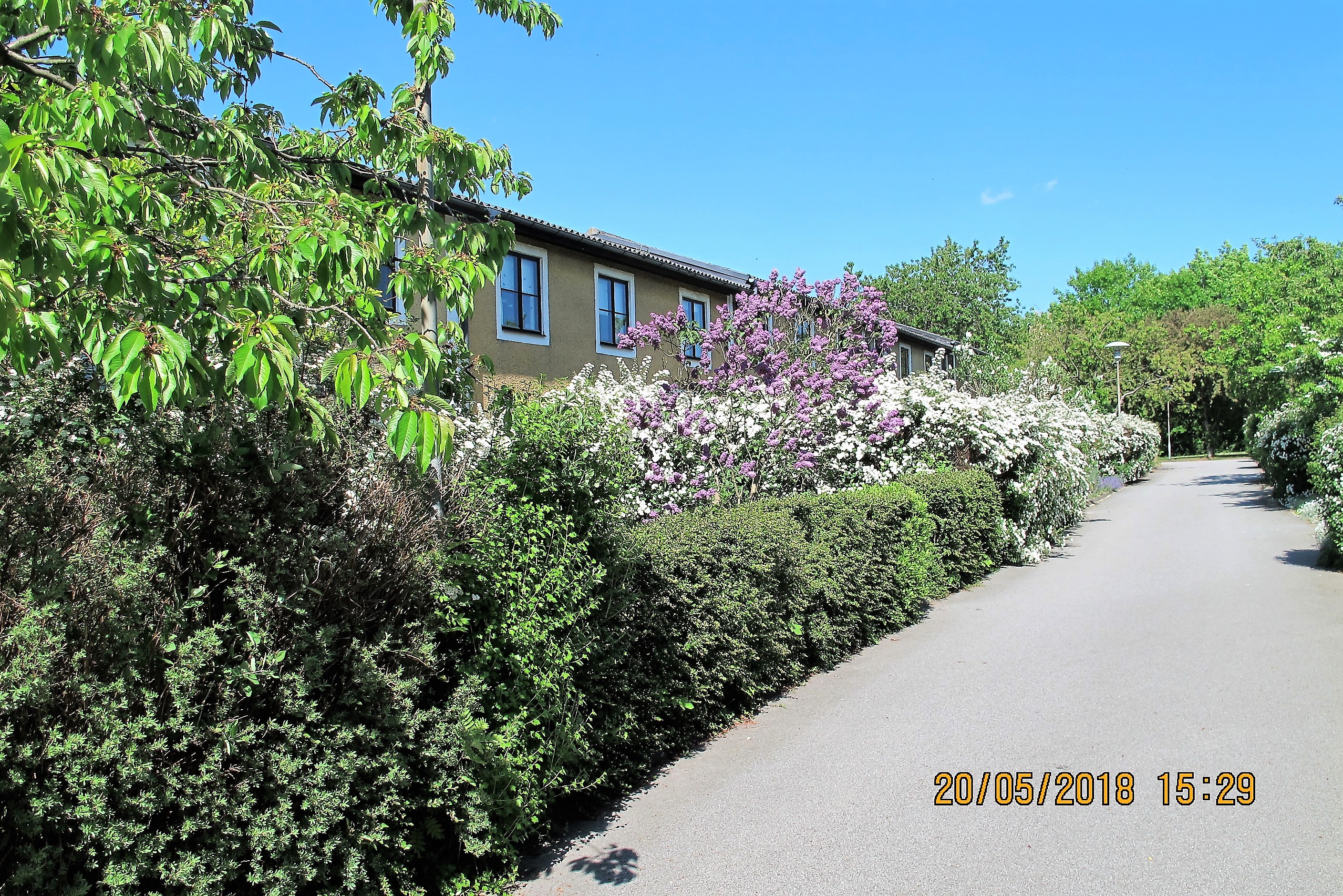 201805 Vy 3 Spårsnögatan